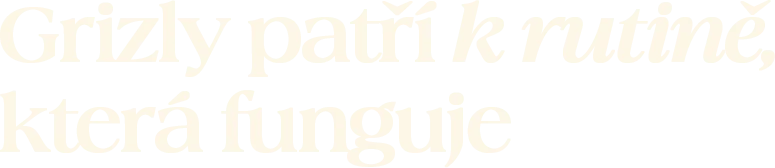 Grizly patří k rutině, která funguje