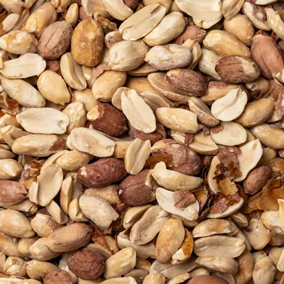 Arašídy pražené solené ve slupce 6 x 500 g