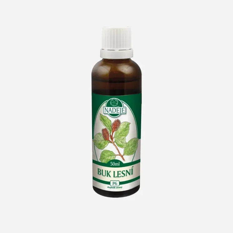 Buk lesní tinktura z pupenů 6 x 50 ml