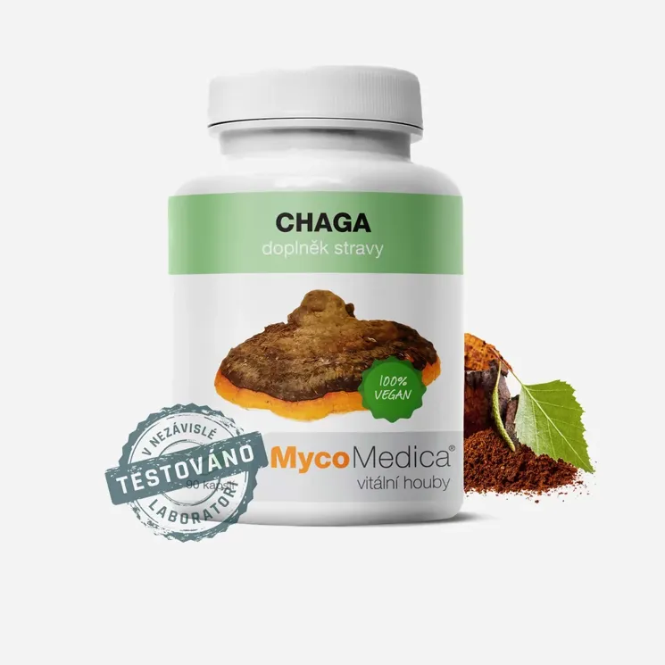 Chaga 6 x 90 kapslí