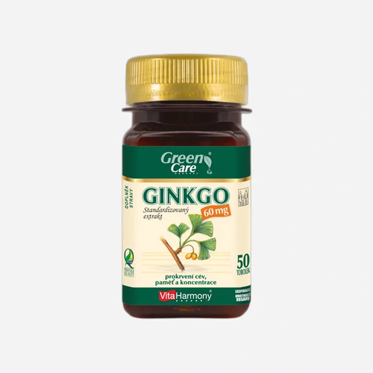 Ginkgo 60 mg 6 x 100 tablet