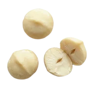 Makadamiové ořechy
