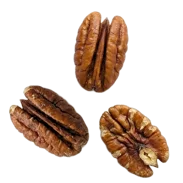 Pekanové ořechy