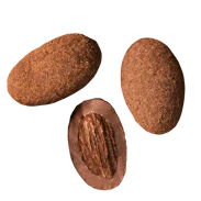 Sladké ořechy