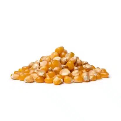Kukuřice na popcorn 5 x 500 g