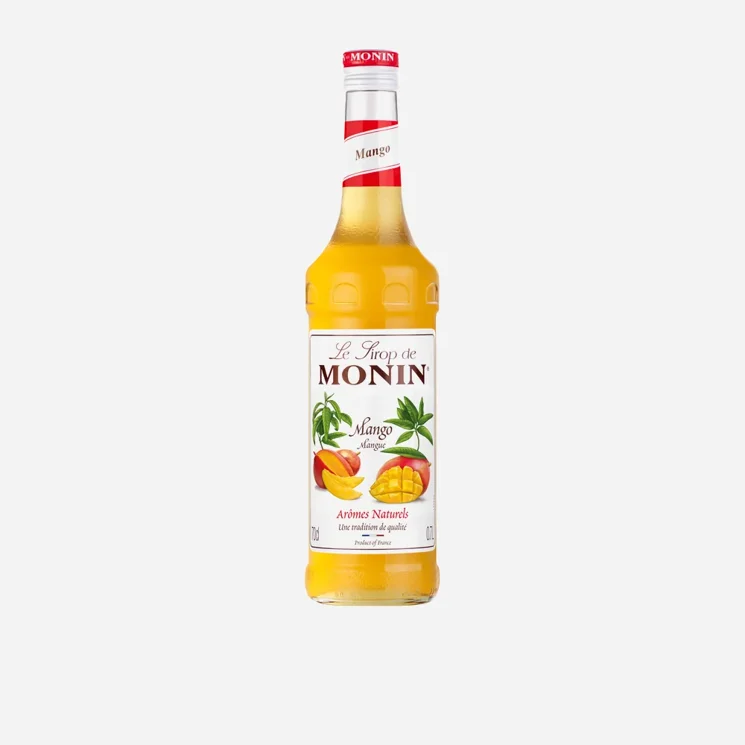 Mango 12 x 700 ml