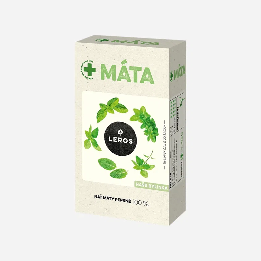 Máta