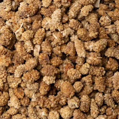 Moruše bílá BIO