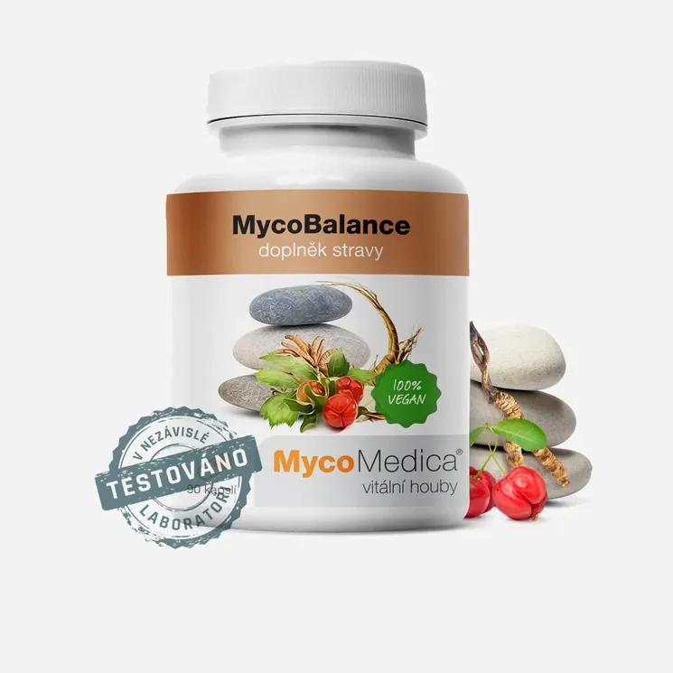 MycoBalance 90 tablet
