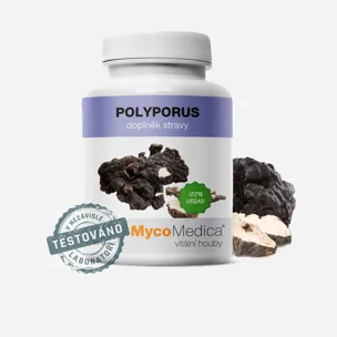 Polyporus 6 x 90 tablet