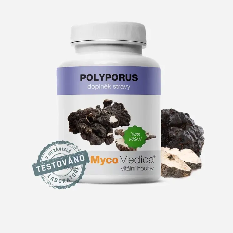 Polyporus
