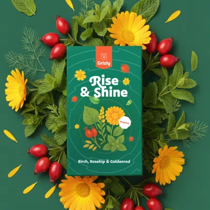 Rise & Shine BIO bylinný čaj 6 x 20 ks