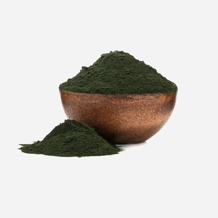Spirulina prášek BIO