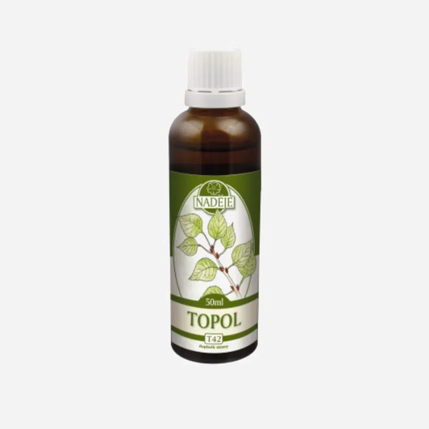 Topol tinktura z byliny
