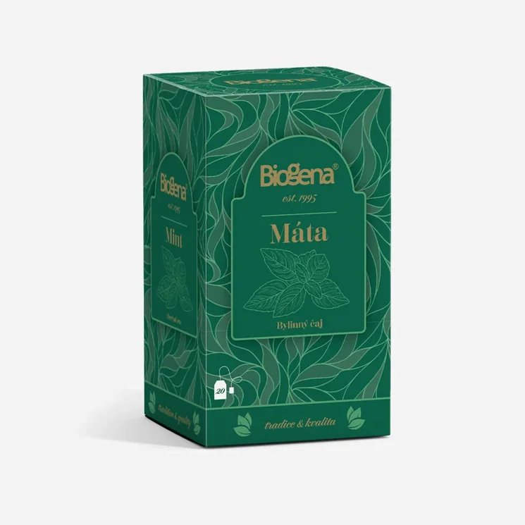 Traditional máta 6 x 20 sáčků