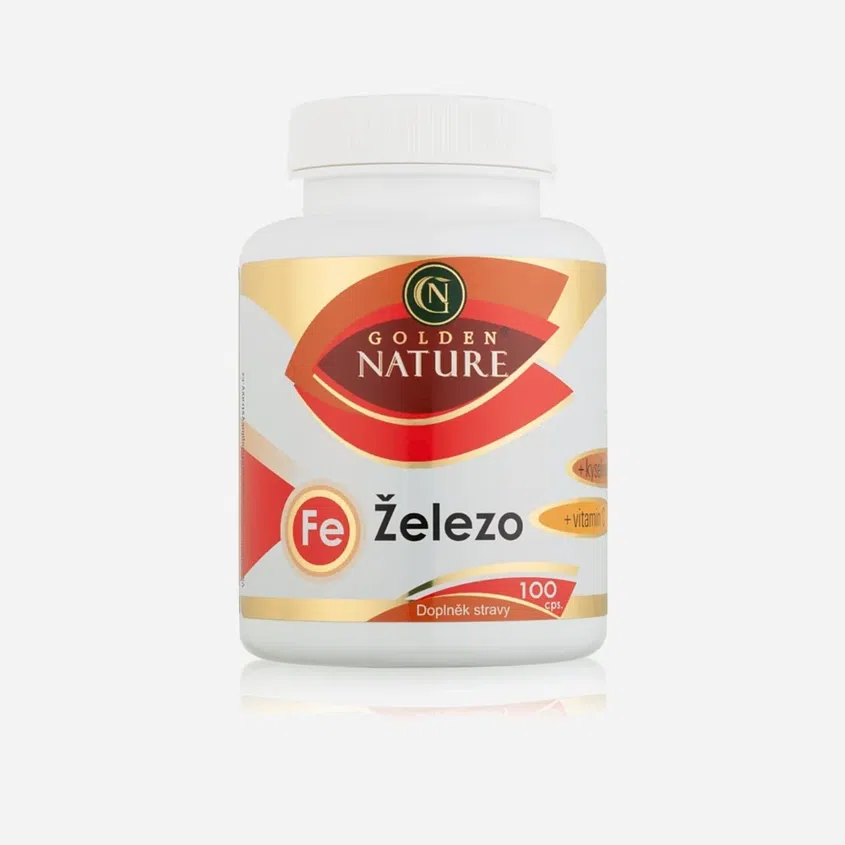 Železo+Vitamin C+Kys. listová 100 tablet 6 x 100 kapslí